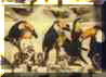 Tucanes expuestos en el sector de aves del museo